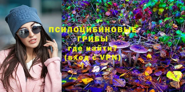 мяу мяу мука Алзамай
