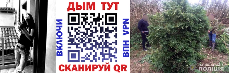 МАРИХУАНА ГИДРОПОН Сочи